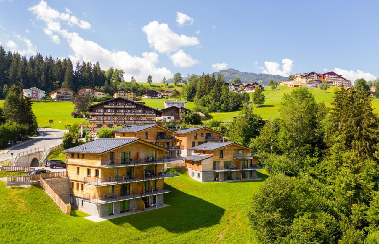 Panorama Schladming